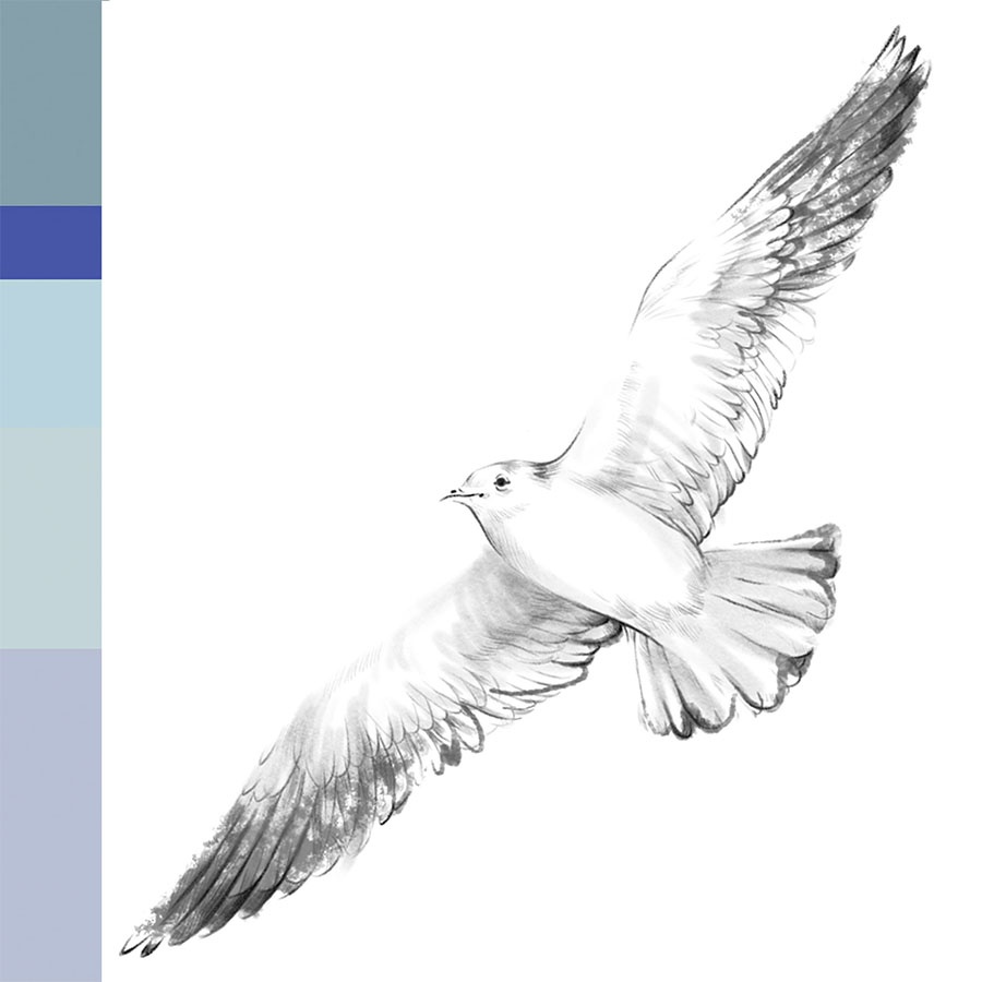 Seashore Skies | Hand Drawing Surface Pattern & Illustration Design | Karolina Szymkiewicz