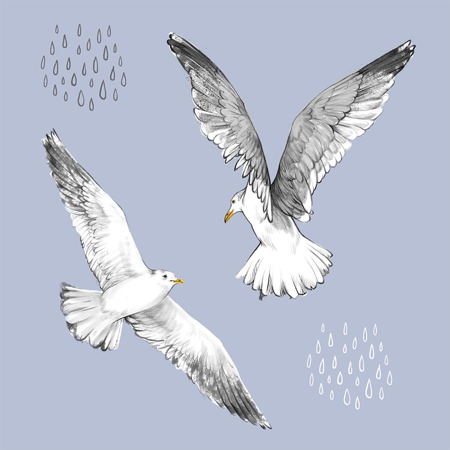 Seashore Skies | Hand Drawing Surface Pattern & Illustration Design | Karolina Szymkiewicz