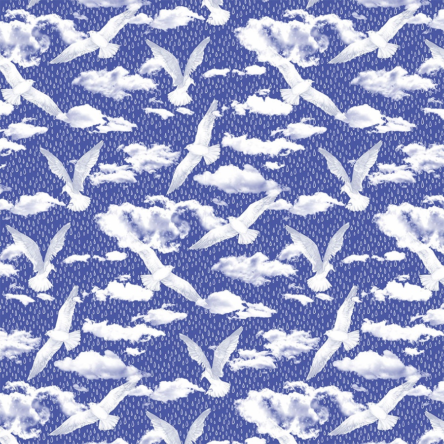 Seashore Skies | Hand Drawing Surface Pattern & Illustration Design | Karolina Szymkiewicz