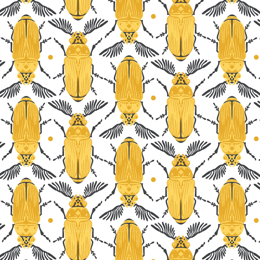 Feather Horned Beetle | Hand Drawing Surface Pattern & Illustration Design | Karolina Szymkiewicz