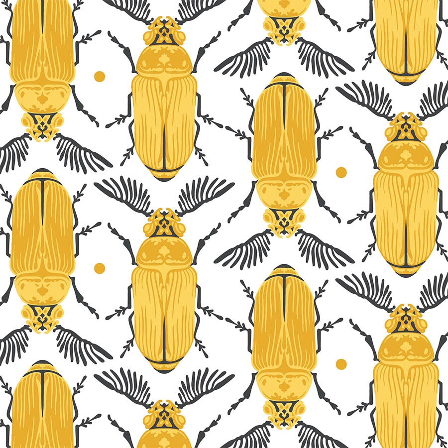 Feather Horned Beetle | Hand Drawing Surface Pattern & Illustration Design | Karolina Szymkiewicz